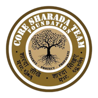 Core sharda team foundation